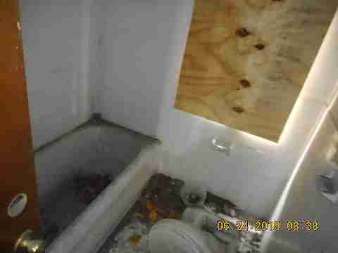 8066 Curt (29)_m.jpg